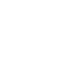 Black-Spark-Media
